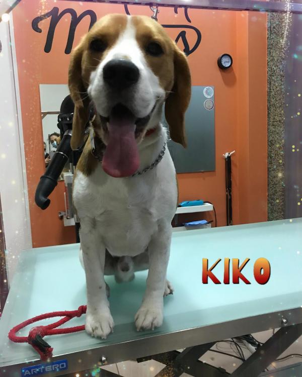 PRESTA TODOS OS SERVIÇOS DE BEM ESTAR