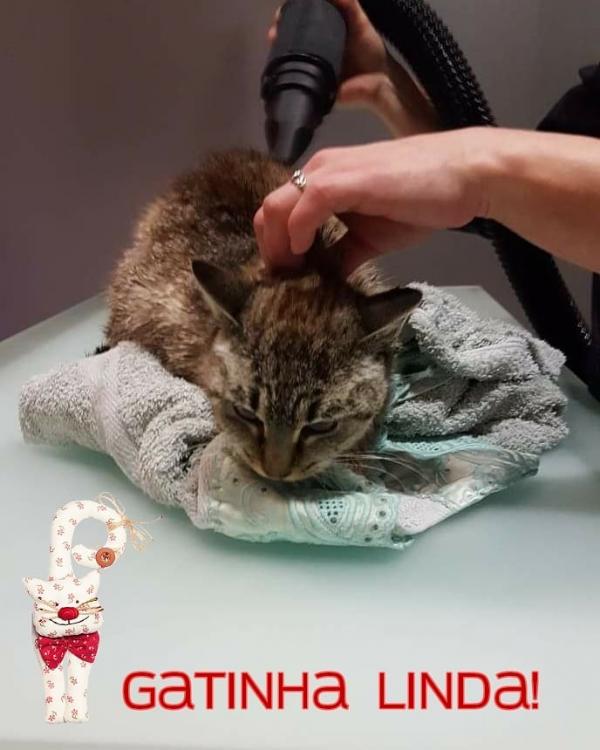 CUIDADOS PESSOAIS | CONFORTO