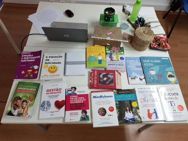 ACOMPANHAMENTO DO 1ºAO 3º CICLO