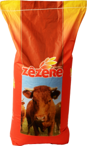 NOVILHOS CRESCIMENTO