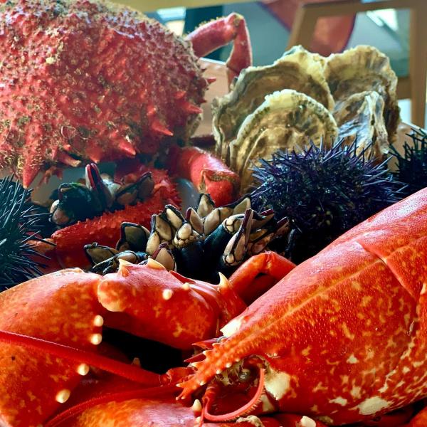 ESPECIALIDADES PEIXE | MARISCO