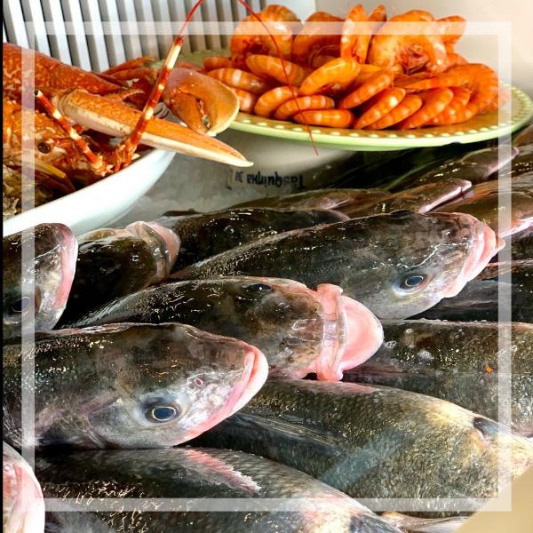 PRODUTOS FRESCOS | QUALIDADE