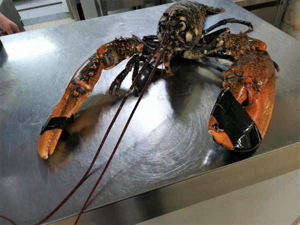 QUALIDADE | PRODUTOS FRESCOS