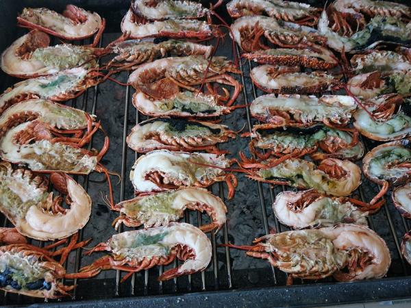 ESPECIALIDADES NA BRASA