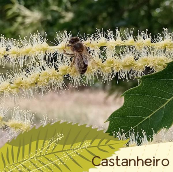 PARQUE NATURAL DE MONTESINHO