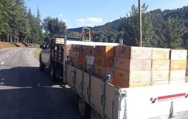 PRODUÇÃO E COMERCIALIZAÇÃO