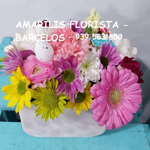 AMARÍLIS FLORISTA - BARCELOS