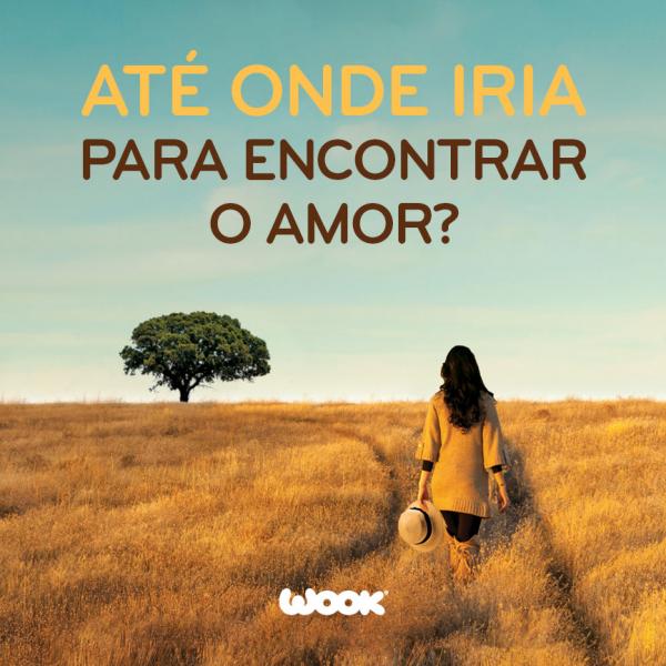 GRANDE VARIEDADE DE LIVROS DE DIVERSOS ESCRITORES