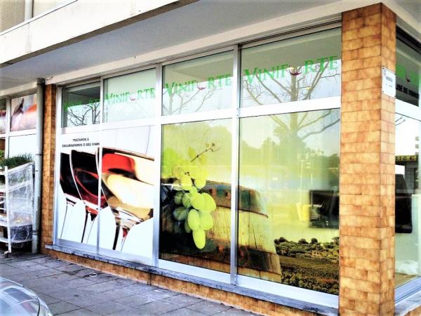 DECORAÇÃO DE MONTRAS