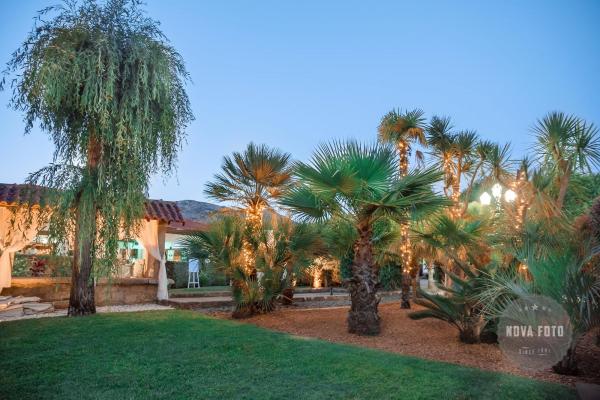 PAISAGENS VERDEJANTES