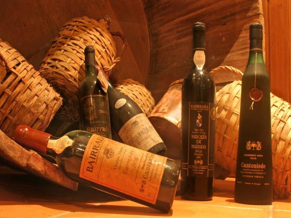 PRODUÇÃO DE VINHOS BIOLÓGICOS