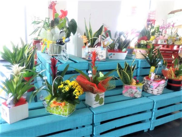 ENTREGA AO DOMICÍLIOS