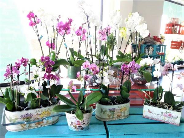 ARTIGOS DE DECORAÇÃO