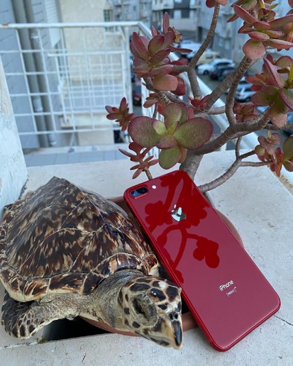 PREÇOS BOMBÁSTICOS 