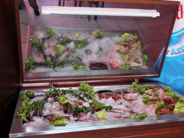 QUALIDADES | FRESCURA