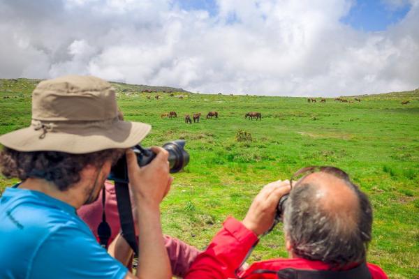EXPERIÊNCIAS ÚNICAS