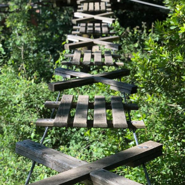 SERVIÇOS PARA ESCOLAS E GRUPOS