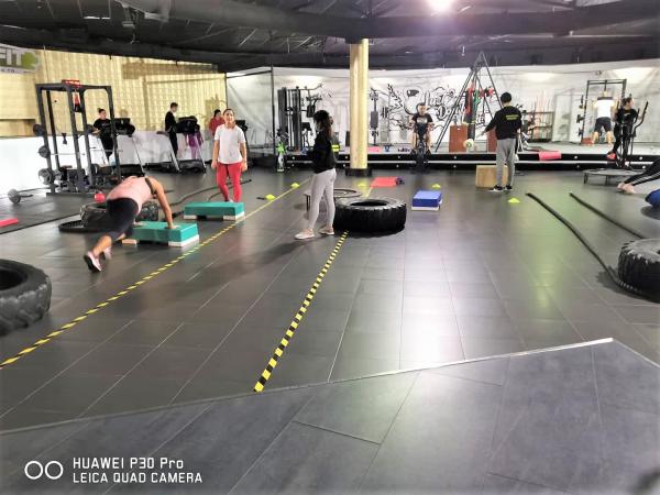 VÁRIOS TIPOS DE TREINOS E METODOLOGIAS