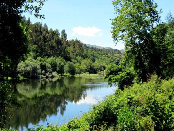 https://www.portugalplease.com/uploads/imagens/Rio_Lima_em_Refoíos_do_Lima_4.JPG