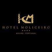 Hotel Moliceiro ****