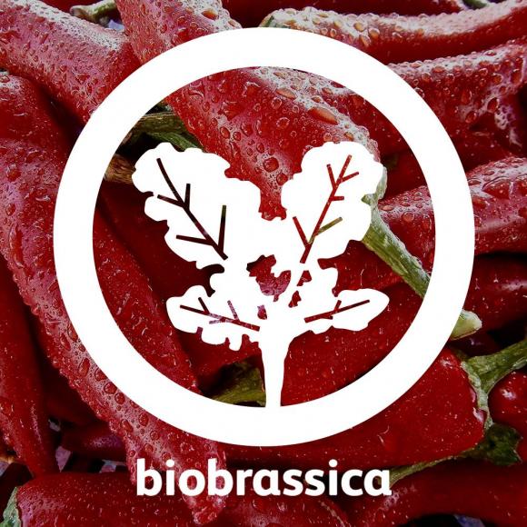 Biobrassica - Produtos Biológicos
