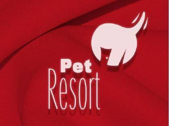 PetResort - Serviços para Animais de Estimação