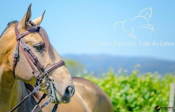 Centro Equestre do Vale do Lima