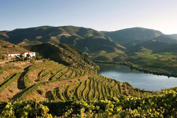 Villa Auri Turismo Rural em Vila Nova de Foz Côa