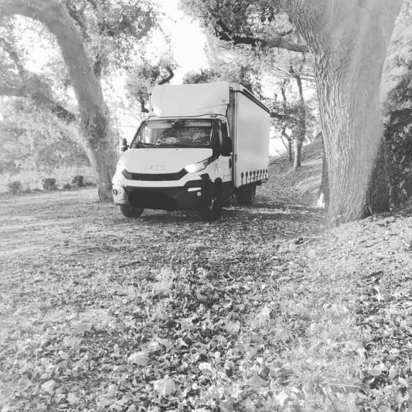 Miguel Matos - Transportes e Mudanças Braga